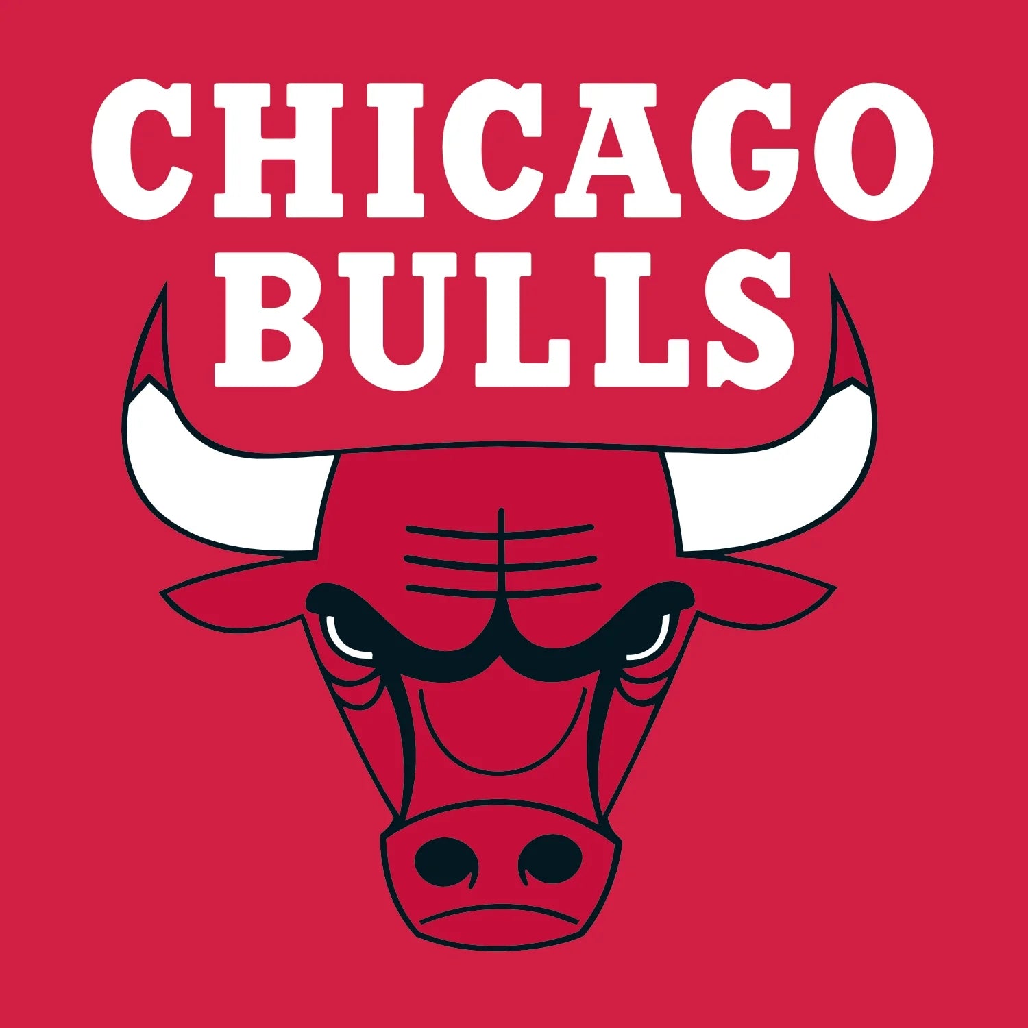 The Chicago Bulls uses Novaalab to Power Recovery and Performance