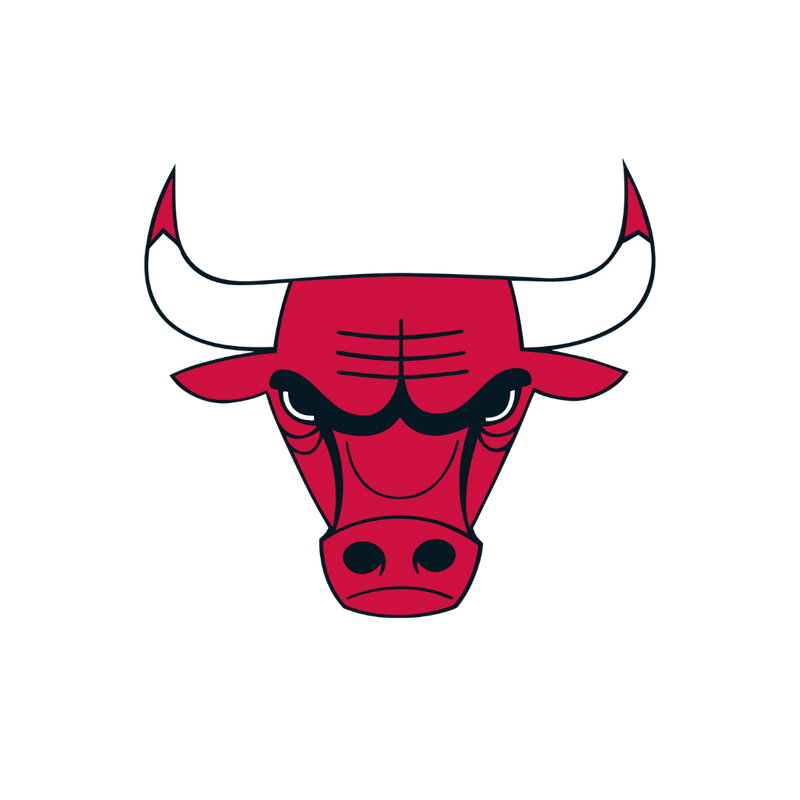 Chicago Bulls team logo