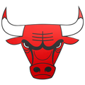 The Chicago Bulls